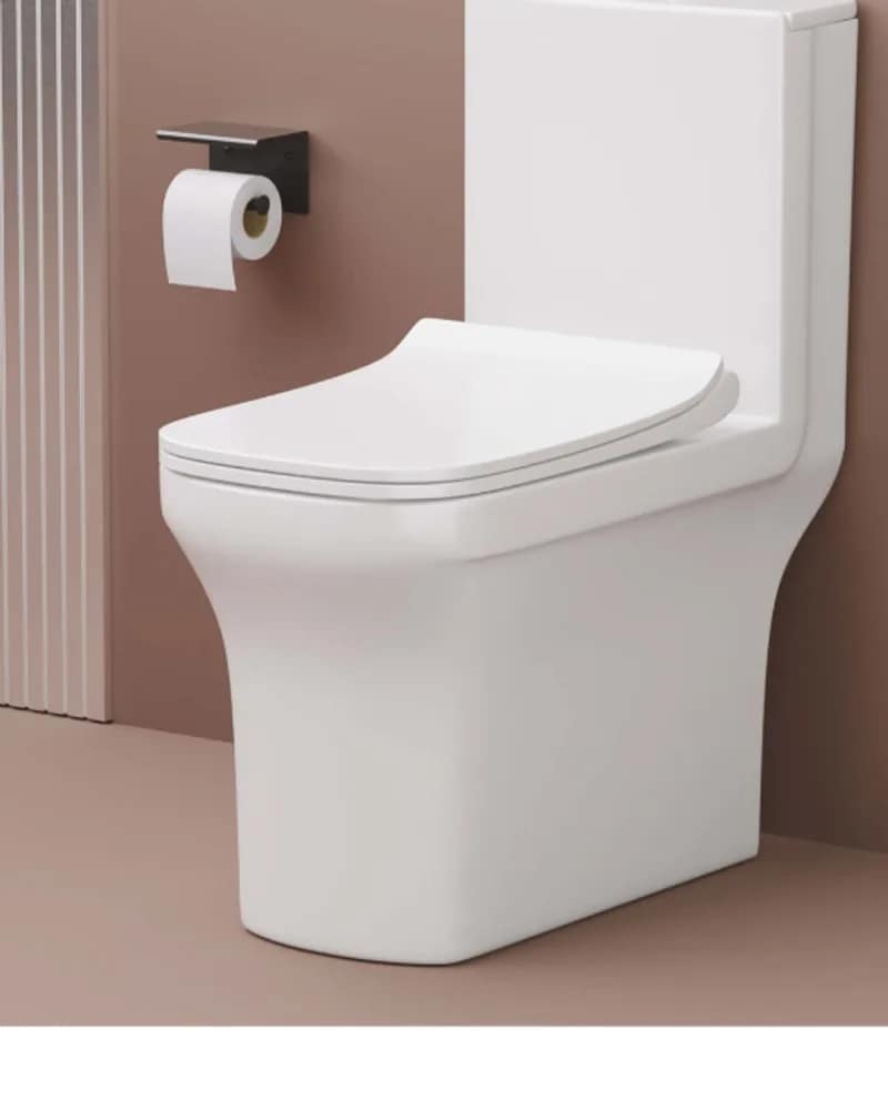 Bandhan Moon one-piece water closet