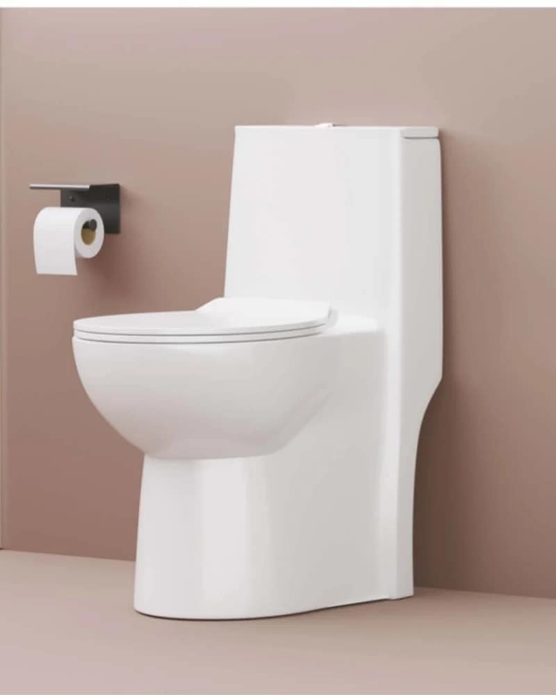 Lupin — Radiance One-Piece Closets at Bandhan Ceramic