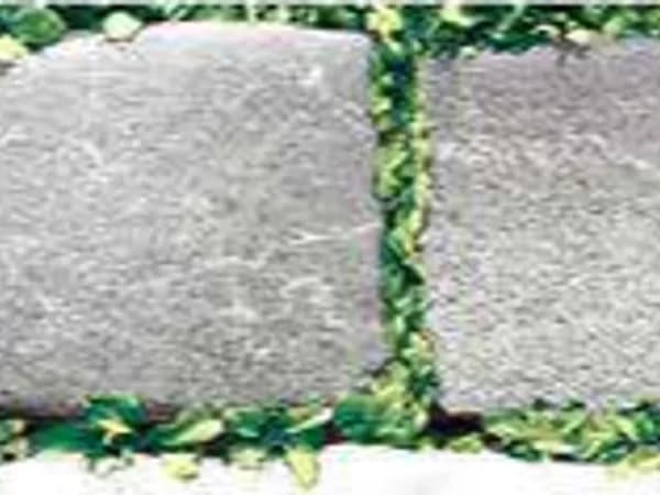 1108 — BCZ Glossy Elevation at Bandhan Ceramic