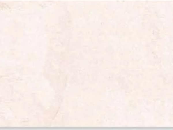 3020-L — BCZ Matt at Bandhan Ceramic