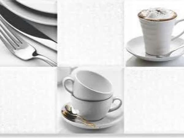 2501-K2 — BCZ Super White at Bandhan Ceramic