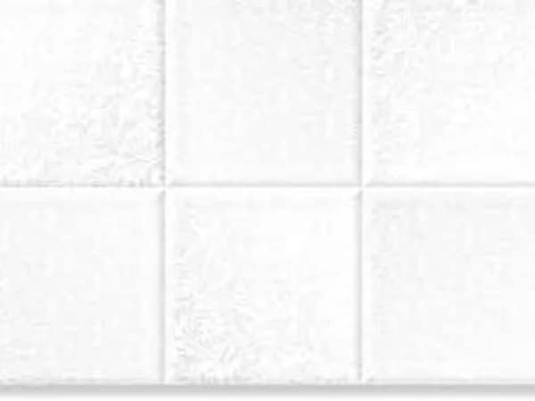 2501-L — BCZ Super White at Bandhan Ceramic
