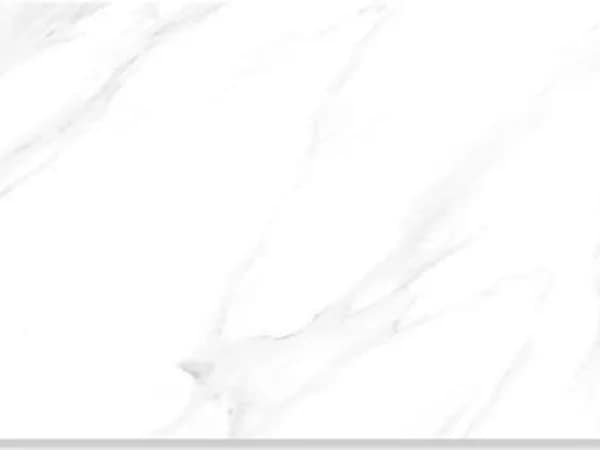 2518-L — BCZ Super White at Bandhan Ceramic