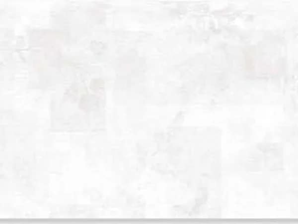 2528-L — BCZ Super White at Bandhan Ceramic
