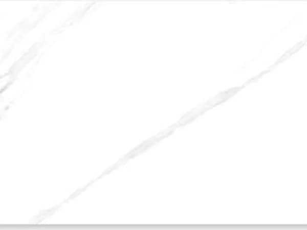 2534-L — BCZ Super White at Bandhan Ceramic