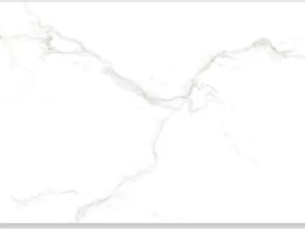 2549-L — BCZ Super White at Bandhan Ceramic