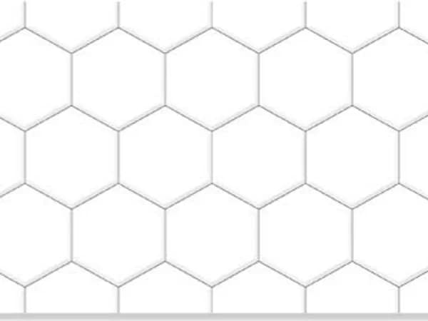 2551-L — BCZ Super White at Bandhan Ceramic