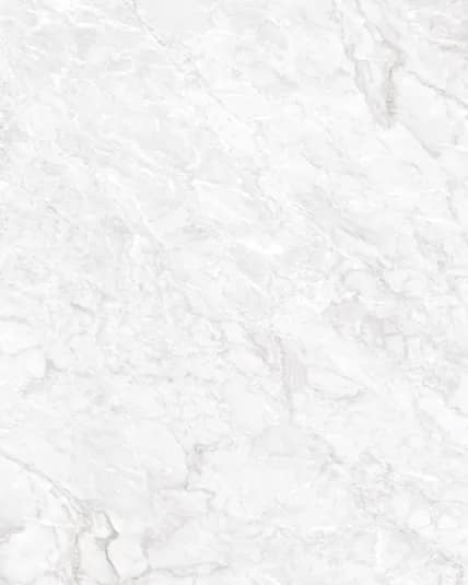 Carrara Pearl — BLZ Velvet 800×1600 at Bandhan Ceramic