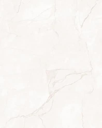 Lizard Silver — BLZ Velvet 800×1600 at Bandhan Ceramic