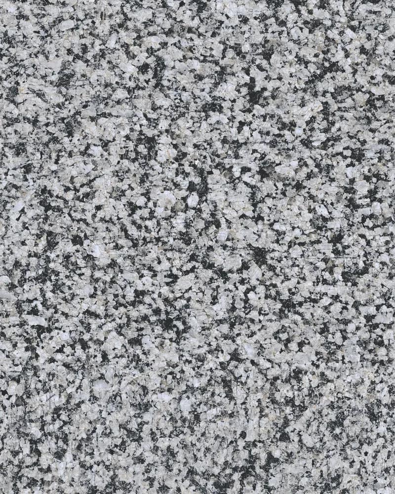 Losiva Black — Double Charge at Bandhan Ceramic