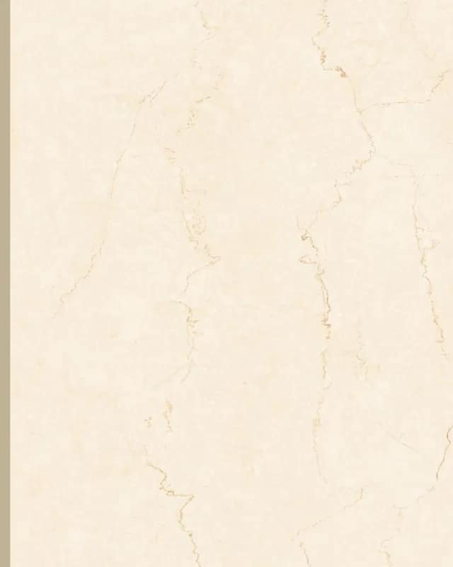Bottochino Classic — Future Marble 1200×2400 at Bandhan Ceramic