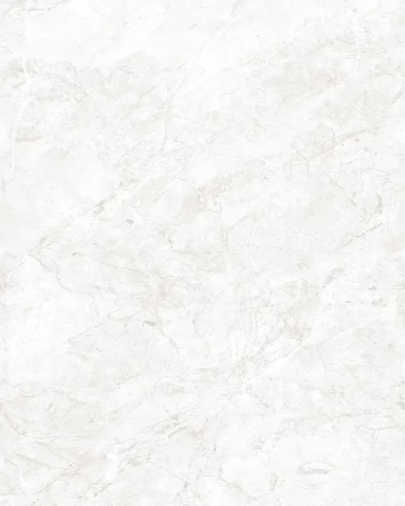 Tundra Bianco — Glossy Endless Vol. 4 at Bandhan Ceramic