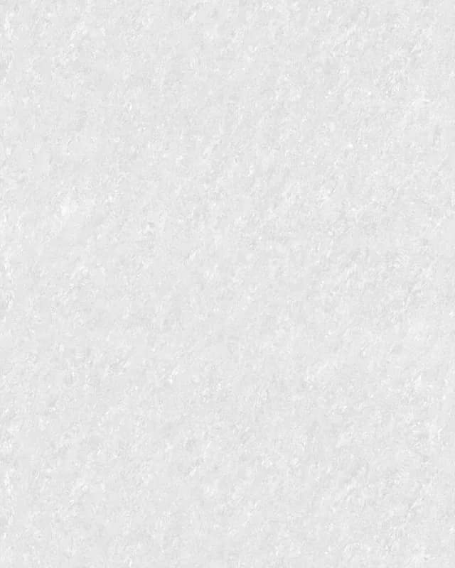 Deco Bianco — Endless Series at Bandhan Ceramic