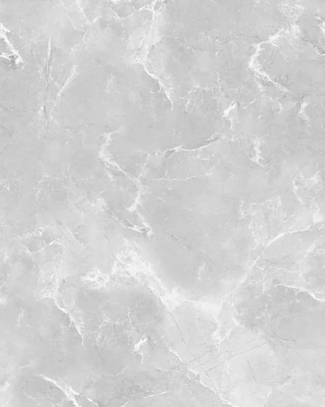 Fenix Grey — Endless Series at Bandhan Ceramic