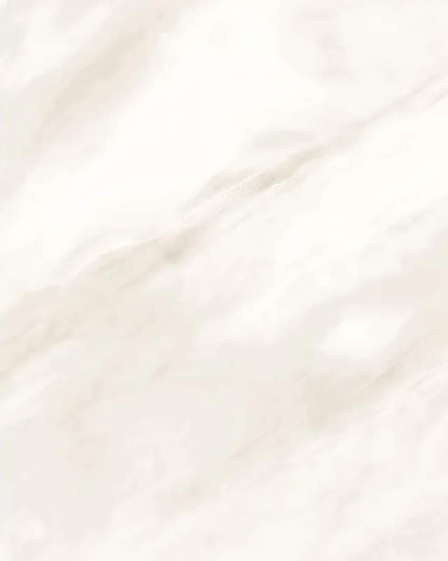 Arena White — Glossy Series at Bandhan Ceramic