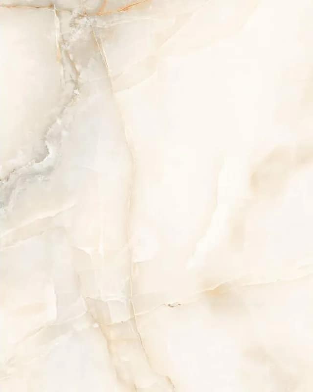 Honey Onyx — Glossy Series at Bandhan Ceramic