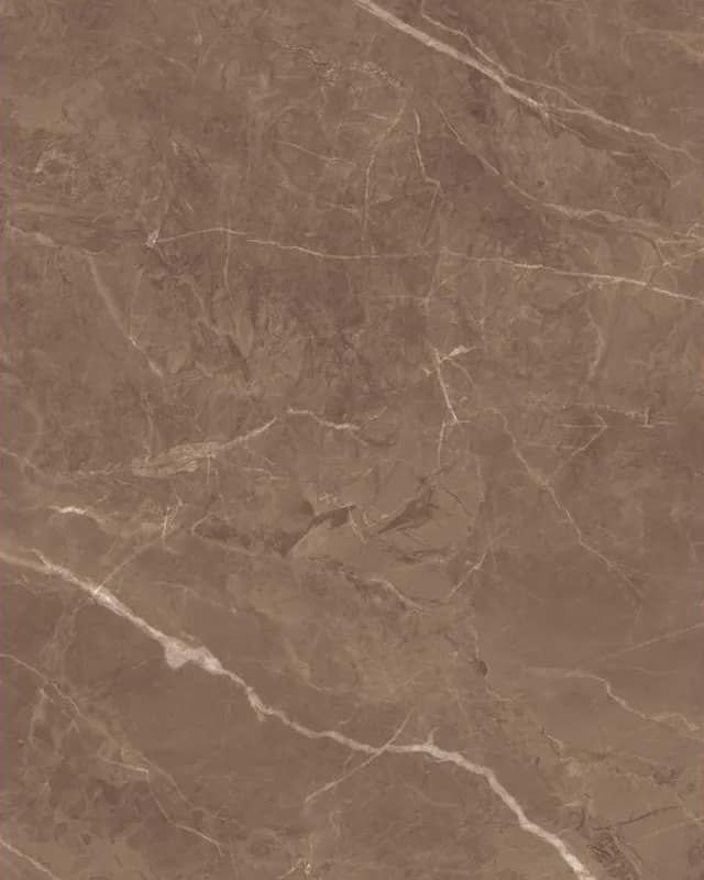 Panther Brown — Glossy Series at Bandhan Ceramic