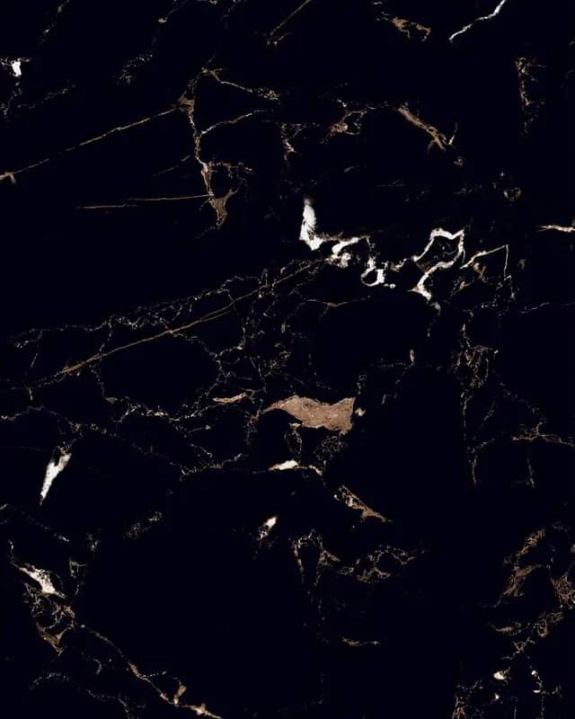 Apollo Black — High Gloss Series at Bandhan Ceramic