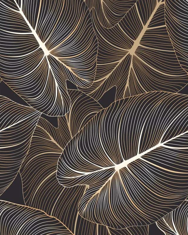Aspen Black — High Gloss Series at Bandhan Ceramic
