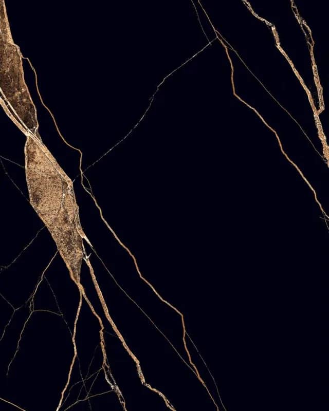 Black Spider — High Gloss Series at Bandhan Ceramic