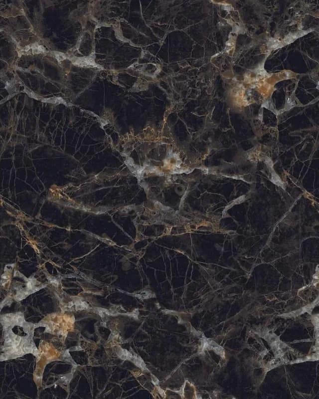 Scorpion Gold — High Gloss Series at Bandhan Ceramic