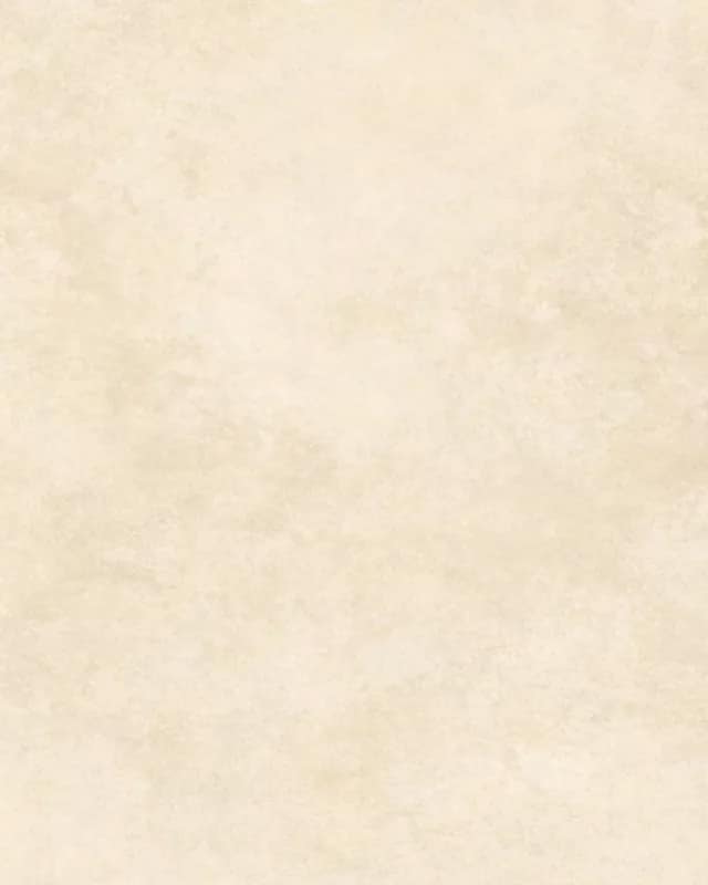 Moss Crema — NR Surface at Bandhan Ceramic