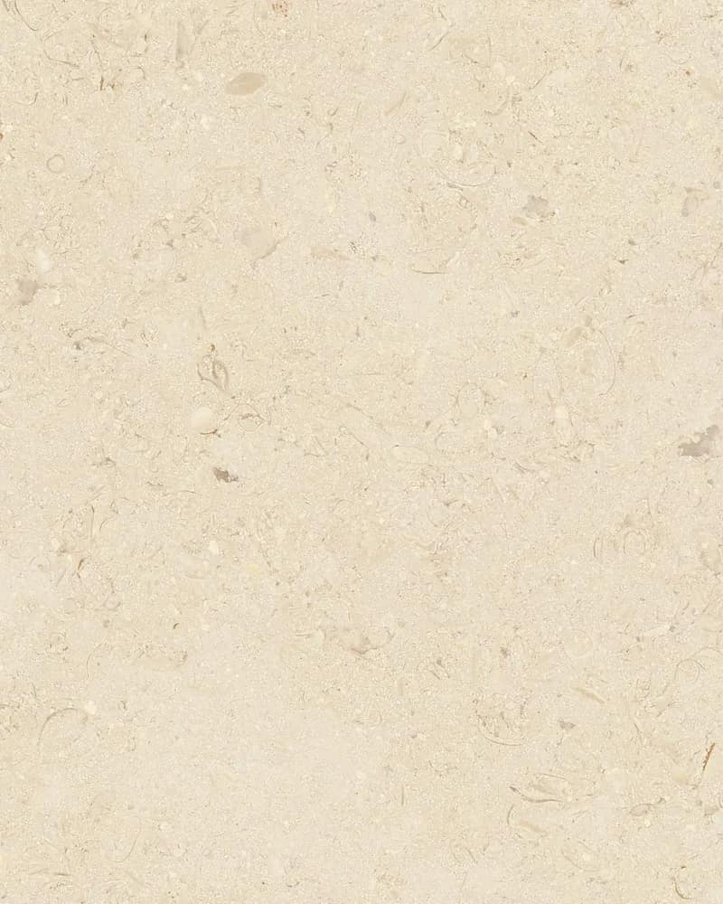 Luxe Diston Crema — Matt Carving at Bandhan Ceramic