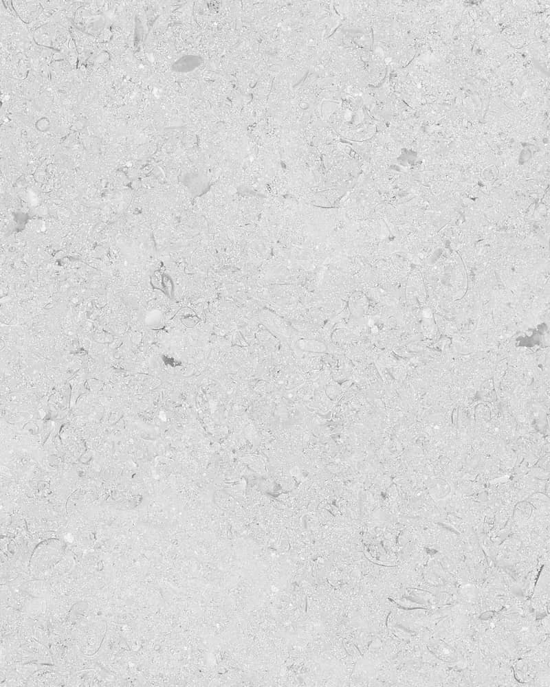 Luxe Diston Grey — Matt Carving at Bandhan Ceramic