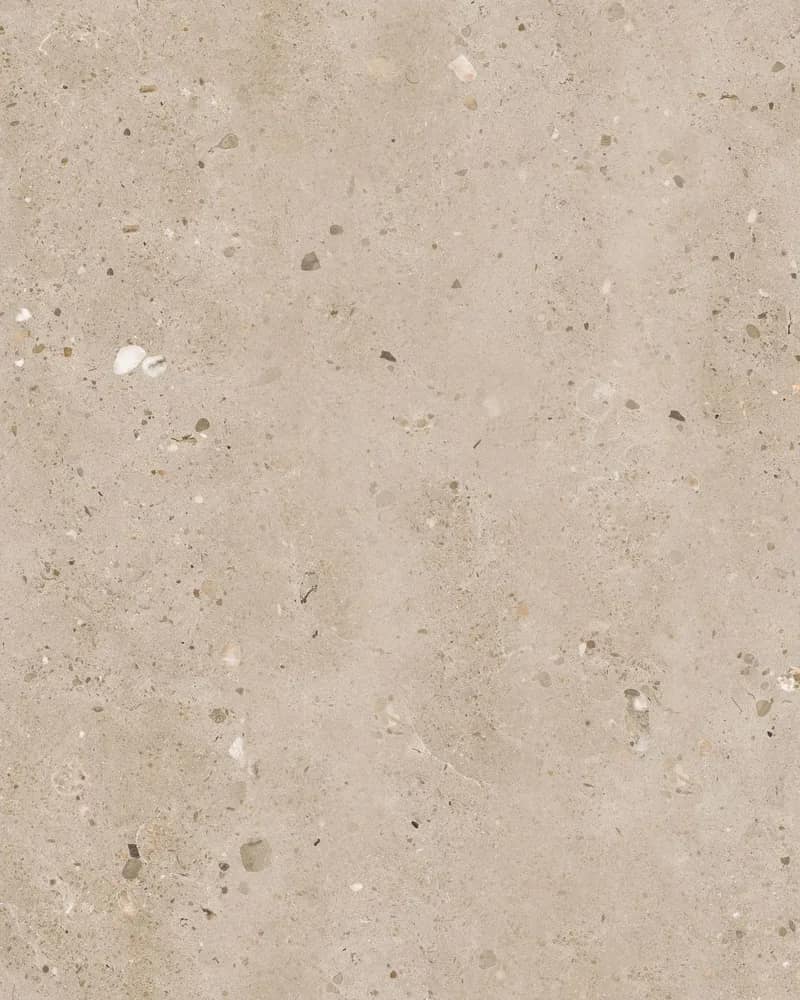 Luxe Gomta Cerma — Matt Carving at Bandhan Ceramic
