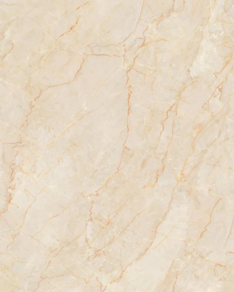 Luxe Tagas Brown — Matt Carving Endless at Bandhan Ceramic