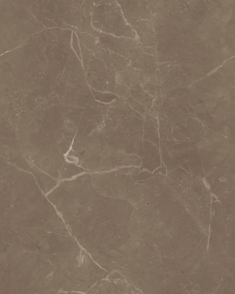 Luxe Zebrano Coco — Matt Carving Endless at Bandhan Ceramic
