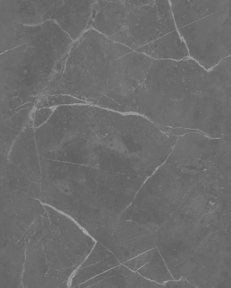 Luxe Zebrano Nero — Matt Carving Endless at Bandhan Ceramic