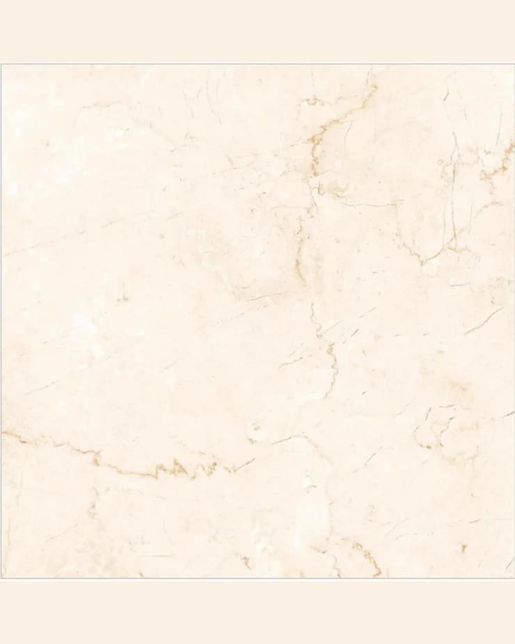 Crema Marfil — Matt Marble at Bandhan Ceramic