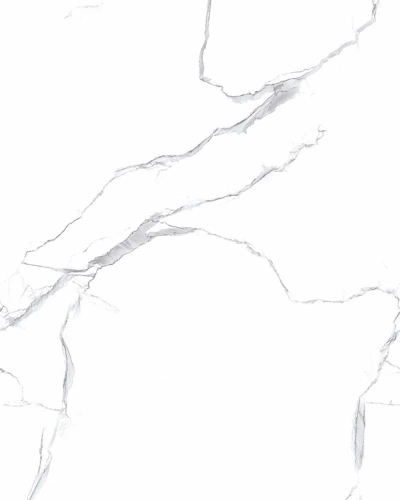 Polar White — Marmora Collection at Bandhan Ceramic