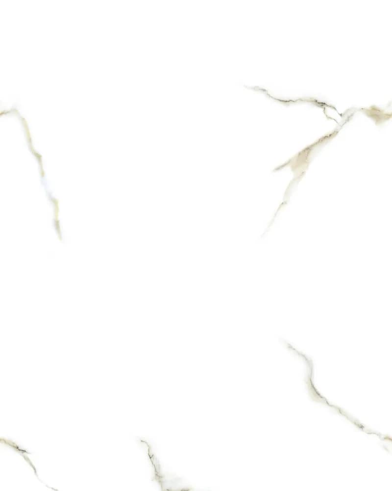 Arctic Ivory — Statuario Vol. 2 at Bandhan Ceramic