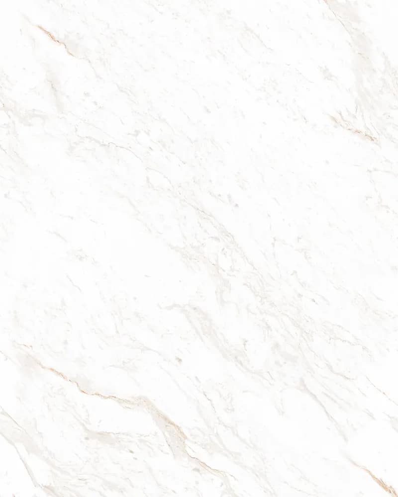 Griha White — Statuario Vol. 2 at Bandhan Ceramic