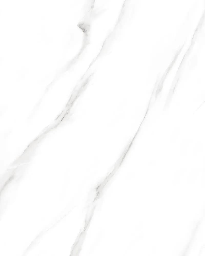 Kendo White — Statuario Vol. 2 at Bandhan Ceramic