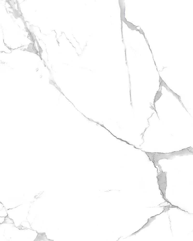 Paradise White — Statuario Vol. 2 at Bandhan Ceramic