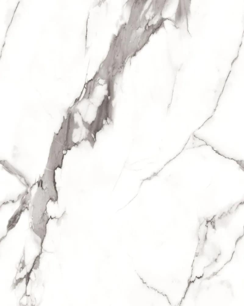 Swiss Carrara — Statuario Vol. 2 at Bandhan Ceramic