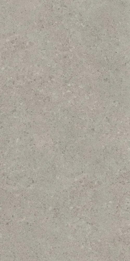 Neomi Silver Decore — random face 2 of 5