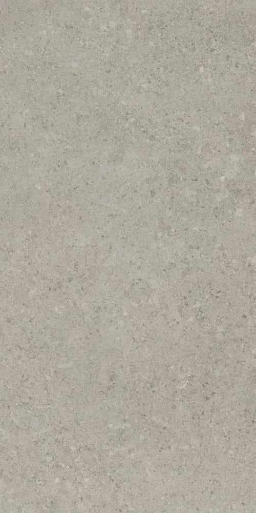 Neomi Silver Decore — random face 3 of 5