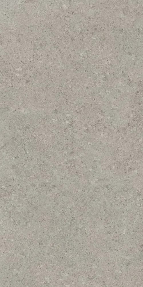 Neomi Silver Decore — random face 4 of 5