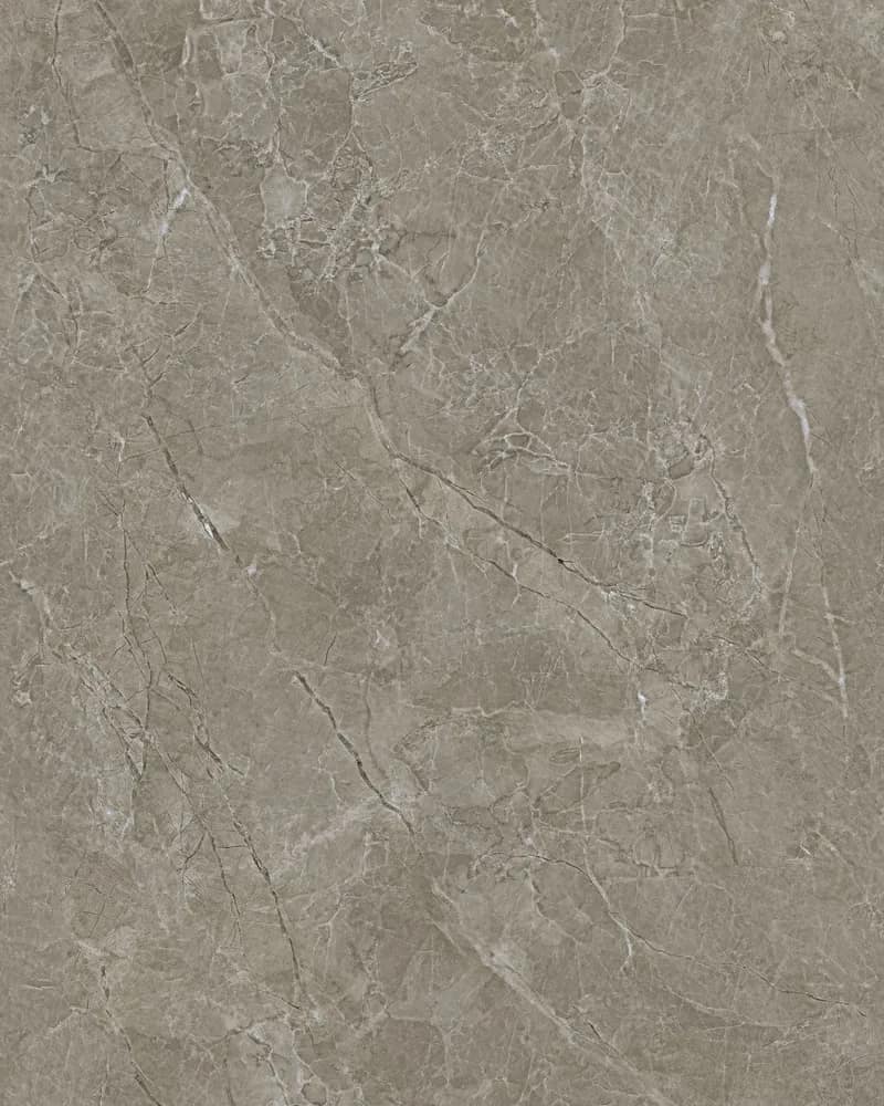 Vitora Grey — Glossy Endless Vol. 2 at Bandhan Ceramic Vitora Grey — Glossy Endless Vol. 2 at Bandhan Ceramic