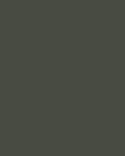 Olive — Monotone Full Body at Bandhan Ceramic Olive — Monotone Full Body at Bandhan Ceramic